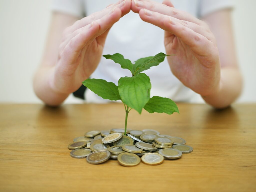 Serviços de SEO para pequenos negócios SEO para empresas